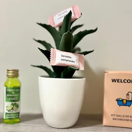 Studette De 17m2 Avec Parking Prive Gratuit Climatisation Et Petite Cuisine