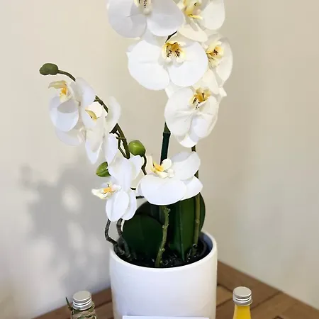 Studette De 17m2 Avec Parking Prive Gratuit Climatisation Et Petite Cuisine 4* 芒通