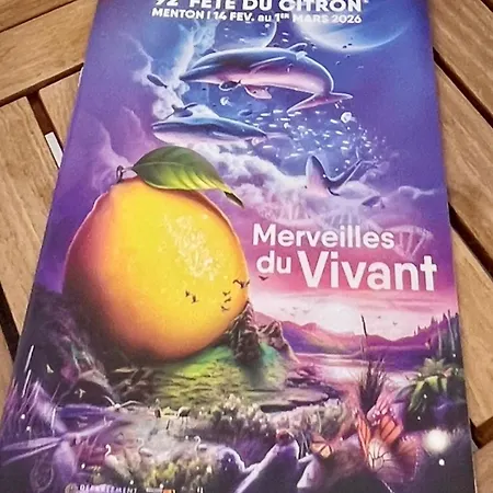 Studette De 17m2 Avec Parking Prive Gratuit Climatisation Et Petite Cuisine 4* Menton