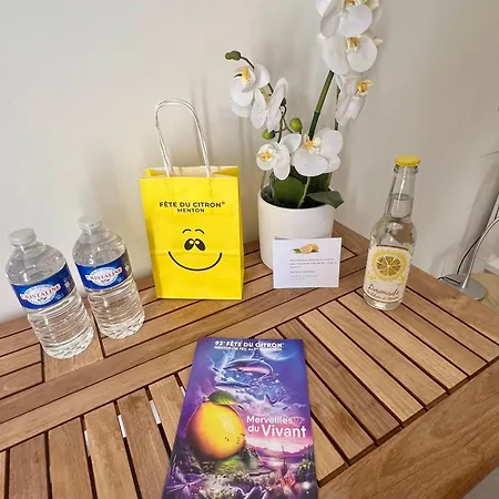 Studette De 17m2 Avec Parking Prive Gratuit Climatisation Et Petite Cuisine 招待所 芒通