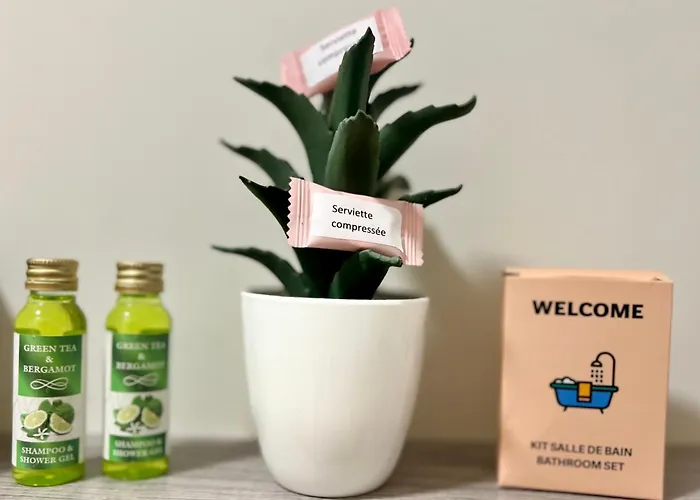 Studette De 17m2 Avec Parking Prive Gratuit Climatisation Et Petite Cuisine