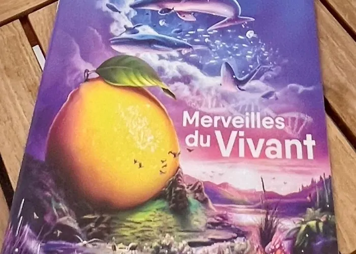 Studette De 17m2 Avec Parking Prive Gratuit Climatisation Et Petite Cuisine 4* Μεντόν