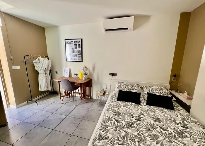 Studette De 17m2 Avec Parking Prive Gratuit Climatisation Et Petite Cuisine 招待所